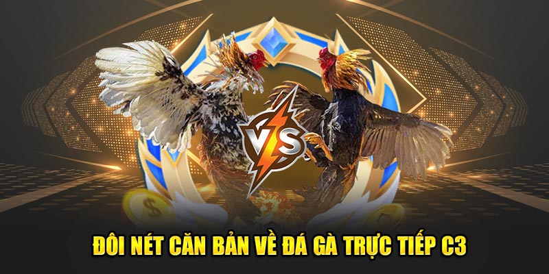 Đôi nét căn bản về đá gà trực tiếp C3