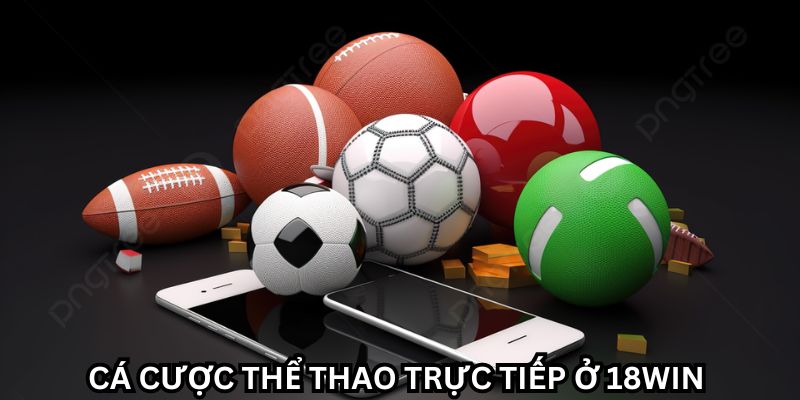 Cá cược thể thao trực tiếp bảo mật an toàn tuyệt đối