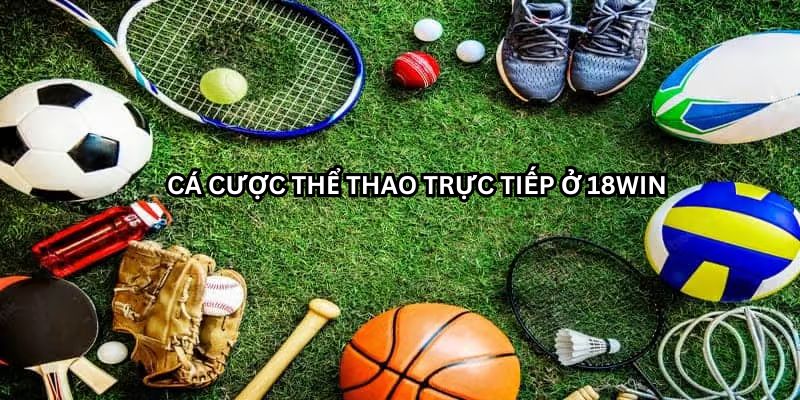 Cược tài xỉu, tỷ số chính xác – Ăn đậm với mỗi lựa chọn