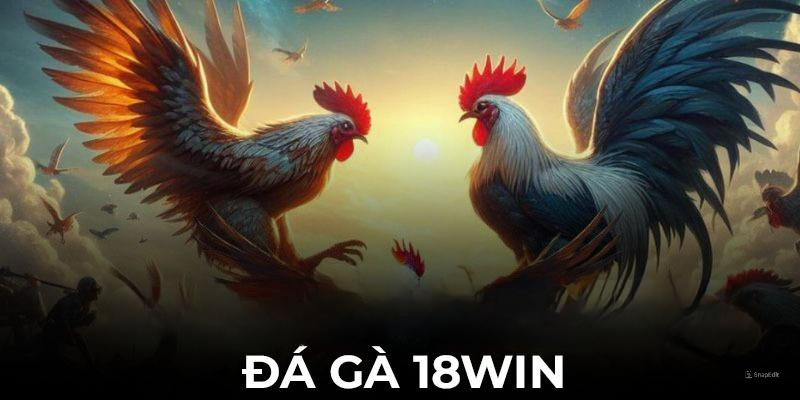 Lý do người chơi nên chọn đá gà 18Win